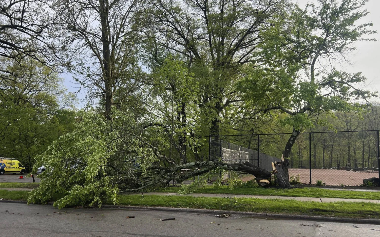24/7 emergency storm damage tree removal in Edmond - Same-day response